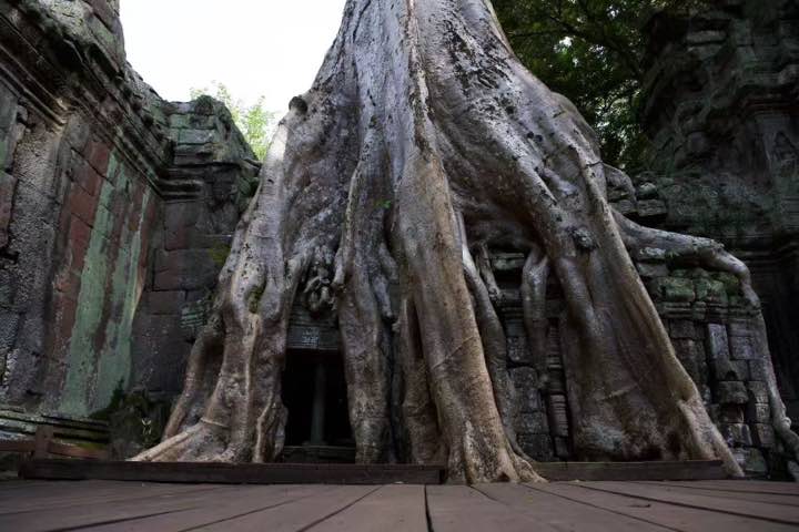 吴哥窟 第 5 张照片