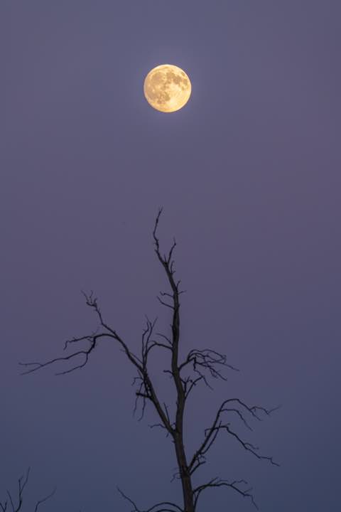 加拿大 第 9 张照片