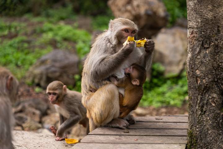 云南腾冲 第 4 张照片