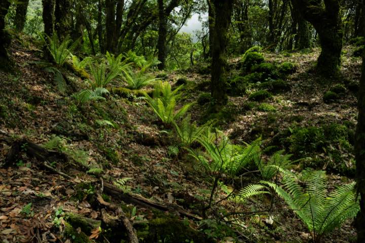 云南腾冲 第 5 张照片